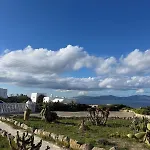 Erica Mykonos *