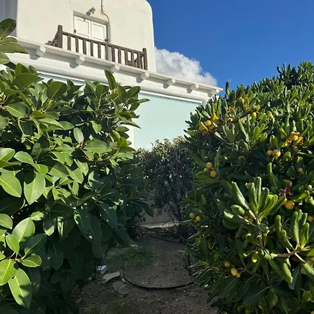 Semesterbostad Elaya Mykonos Town